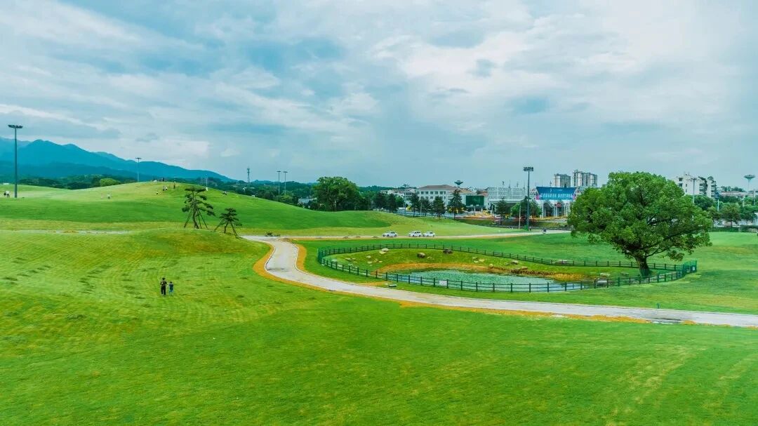 a4ab1ddfaec6eadf17efe808f41efa16.jpg